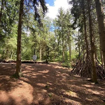 Feriehus Seebrise Am Harkebruegger Mit Sauna Und Kamin *